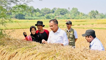 Jabar Fokus Peningkatan Indeks Pertanaman dan Perluasan Areal Tanam