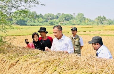 Jabar Fokus Peningkatan Indeks Pertanaman dan Perluasan Areal Tanam