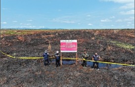 Karhutla di Kalimantan, Tujuh Lokasi Disegel oleh KLHK