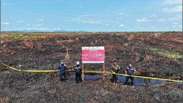 Karhutla di Kalimantan, Tujuh Lokasi Disegel oleh KLHK