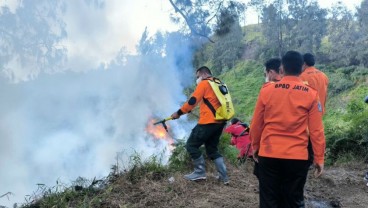 Kebakaran di Penanjakan Bromo Dipadamkan
