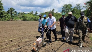 Gerakan Tanam Jagung di Sentani Menyasar Lahan 6 Hektare