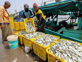 Masuk Musim Kemarau, Konsumsi dan Harga Ikan di Palembang Menurun