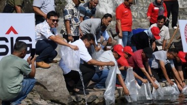 3.000 Ekor Ikan Endemik Bilih Hasil Pemijahan Ditebar di Danau Singkarak Sumbar