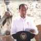 Jokowi Groundbreaking Swissbel Hotel di IKN, Ditargetkan Rampung 2025