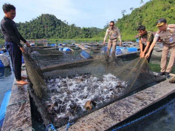 Tingkat Konsumsi Protein Ikan Rendah, KKP Kampanye di Cirebon