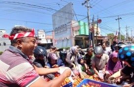 Harga Tomat Terjun Bebas, Petani Bagikan Gratis ke Warga