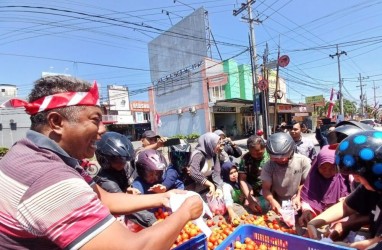 Harga Tomat Terjun Bebas, Petani Bagikan Gratis ke Warga