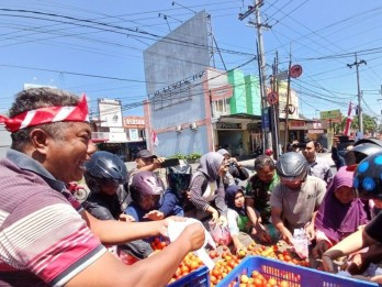 Harga Tomat Terjun Bebas, Petani Bagikan Gratis ke Warga