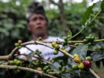 Penyaluran Kredit Pertanian di Tabanan Mencapai Rp20 Miliar