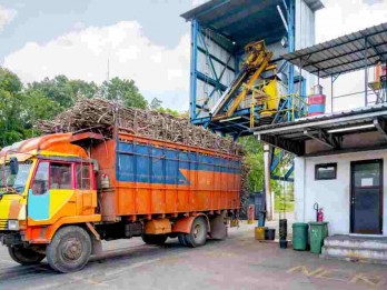 Modal Budi Daya Tebu Perlu Rp1,3 Triliun, Bank Mandiri Sokong Rp500 Miliar