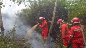 Hingga Juli 2024, Luasan Lahan Terbakar di Sumsel Mencapai 750,83 Hektare