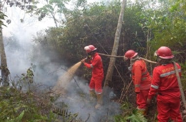 Hingga Juli 2024, Luasan Lahan Terbakar di Sumsel Mencapai 750,83 Hektare