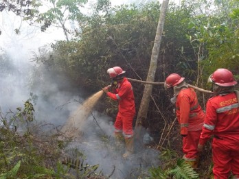 Hingga Juli 2024, Luasan Lahan Terbakar di Sumsel Mencapai 750,83 Hektare