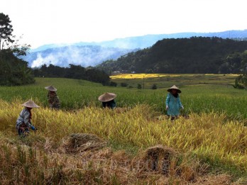 Kesiapan Sulawesi Topang Kebutuhan Pangan di IKN, Begini Analisis Pakar