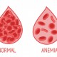 Cegah Anemia, Bisa Turunkan Angka Kematian Ibu