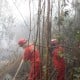 Pemadaman Lahan Gambut Seluas 10 Hektare di OKI Masih Berlanjut