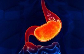 Waspada, Peradangan Kronis Bisa Sebabkan Kanker Gastrointestinal