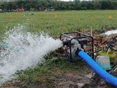 Problem Tata Ruang Pengaruhi Produktivitas Pangan di Jateng