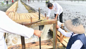 Jelang Jokowi Lengser, Bagaimana Nasib Swasembada Pangan?