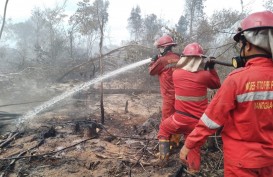 Luasan Lahan Terbakar di OKI Telah Mencapai 21,6 Hektare