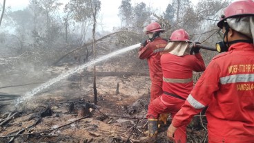 Luasan Lahan Terbakar di OKI Telah Mencapai 21,6 Hektare