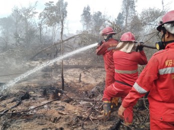 Luasan Lahan Terbakar di OKI Telah Mencapai 21,6 Hektare