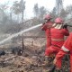 Luasan Lahan Terbakar di OKI Telah Mencapai 21,6 Hektare