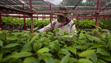 Komitmen Sumbar Wujudkan Target Nasional 12,7 Juta Ha Lahan Perhutanan Sosial