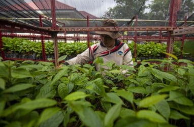 Komitmen Sumbar Wujudkan Target Nasional 12,7 Juta Ha Lahan Perhutanan Sosial