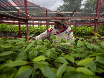 Komitmen Sumbar Wujudkan Target Nasional 12,7 Juta Ha Lahan Perhutanan Sosial