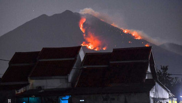 Kebakaran Lahan Terjadi di Kawasan Gunung Merapi Ungup-Ungup