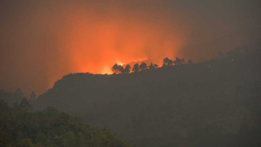 Hutan Seluas 16 Hektare di Gunung Guntur Hangus Terbakar