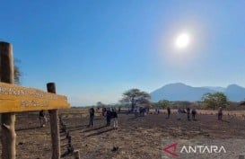 Jumlah Pengunjung Taman Nasional Baluran Meningkat Drastis