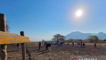 Jumlah Pengunjung Taman Nasional Baluran Meningkat Drastis