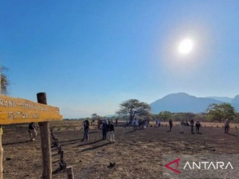 Jumlah Pengunjung Taman Nasional Baluran Meningkat Drastis