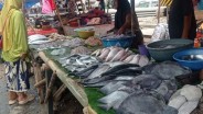 Lebak Maksimalkan Produksi Ikan, Ini Strateginya