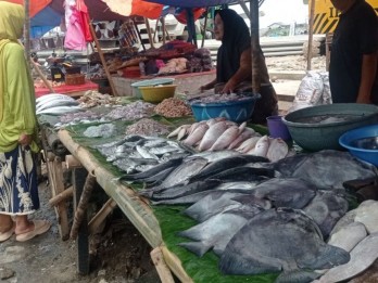 Lebak Maksimalkan Produksi Ikan, Ini Strateginya