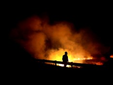 200 Hektare Lahan Hutan Gunung Guntur di Kabupaten Garut Terbakar