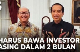 Titah Jokowi ke Menteri Rosan: Gaet Investor Asing Masuk IKN