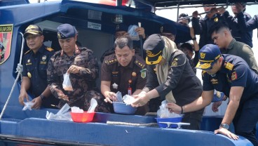 Bea Cukai Gagalkan Penyelundupan Ratusan Ribu Benih Lobster di Karimun