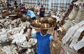 Panen Tembakau di Kediri Kurang Optimal