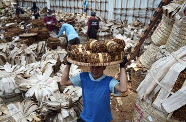 Panen Tembakau di Kediri Kurang Optimal