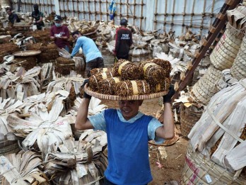 Panen Tembakau di Kediri Kurang Optimal