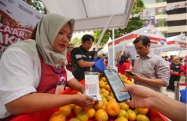 Usaha Klaster Jeruk Ini Makin Berkembang Berkat Pemberdayaan BRI