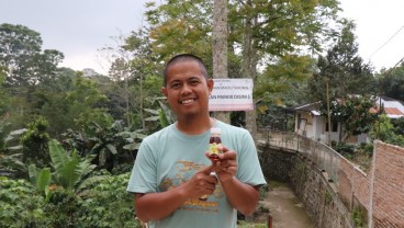 Cuan Madu Lebah Alam dari Berkah Melestarikan Hutan Simalungun