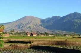 Jalur Pendakian Gunung Guntur Garut Kembali Dibuka Pascakebakaran