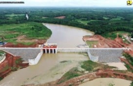 Bendungan Margatiga Pasok Air Buat Lumbung Pangan di Lampung