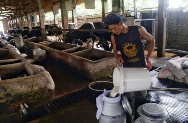 Kenali Beda Gejala Intoleransi Laktosa dan Alergi Susu Sapi pada Anak