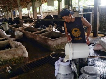 Kenali Beda Gejala Intoleransi Laktosa dan Alergi Susu Sapi pada Anak